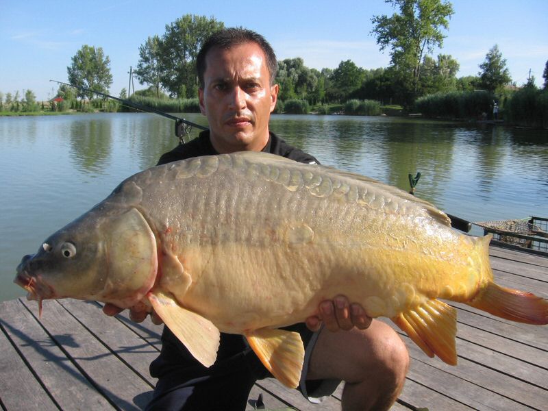 halak 2811.jpg